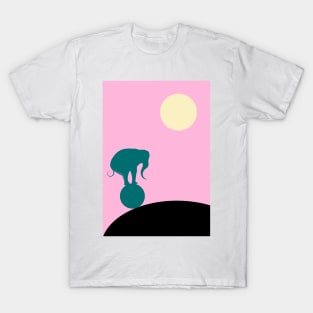 Elephant balancing on a ball by night T-Shirt